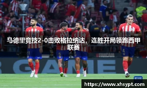 yy体育