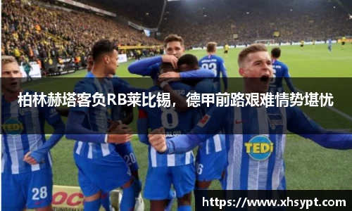yy体育