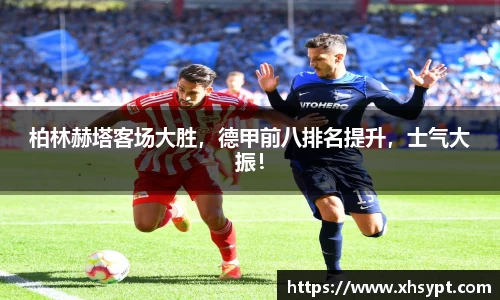 yy体育
