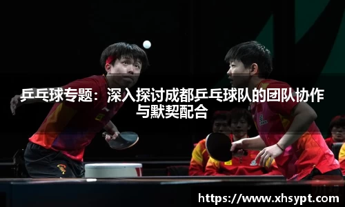 乒乓球专题：深入探讨成都乒乓球队的团队协作与默契配合