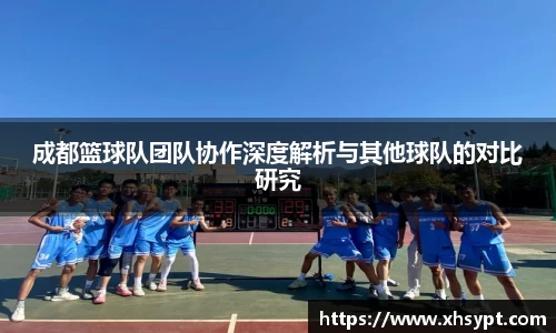 成都篮球队团队协作深度解析与其他球队的对比研究