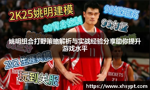 姚明组合打野策略解析与实战经验分享助你提升游戏水平