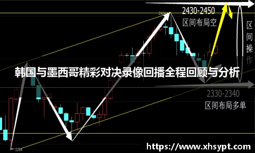 韩国与墨西哥精彩对决录像回播全程回顾与分析